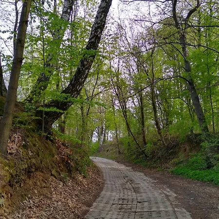 Green Ravine Naleczow Exterior photo