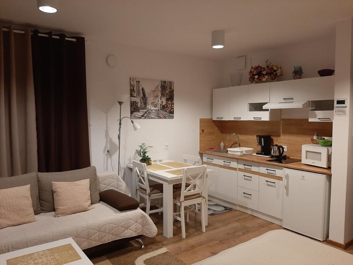 Ravine Apartment Naleczow